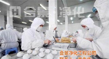 合景實業(yè) 在線咨詢 食品凈化車間
