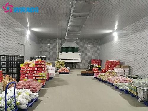 建造1000噸食品加工冷庫(kù)大概需要多少