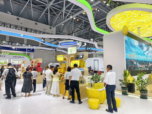 聚焦西洽會丨40家企業(yè)400款 潼南造 亮相西洽會
