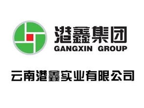 國(guó)資實(shí)業(yè)港鑫 吉利汽車3.0時(shí)代的領(lǐng)跑者
